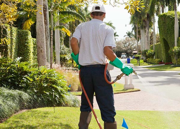 About Central AZ Pest Control